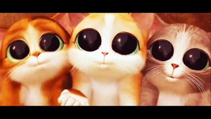 ♥‿♥ ブンバ・ボーン ᵔᴥᵔ おかあさんといっしょ ♫ かわいい猫 ≧❂◡❂≦