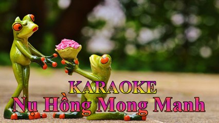 Remix Music - Karaoke : Nụ Hồng Mong Manh [ Entertainment - Nhạc Trẻ ]