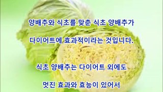 건강 식초 양배추의 효과 효능 4개!절대 먹지 않으면 손해 보는 이유는?