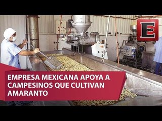Mexicanos elaboran botana con amaranto y maiz