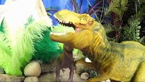 Bataille dinosaure combat pour enfants jouet jouets vidéos contre T-Rex Dinosaure triceratops