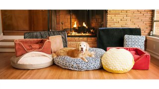Buy Snoozer Pet Products : Snoozer Pet Beds