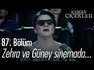 Zehra ve Güney sinemada... - Kırgın Çiçekler 87. Bölüm