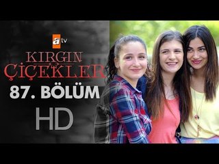 Kırgın Çiçekler 87. Bölüm