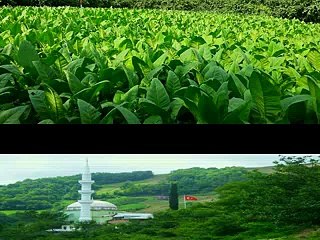 Akçaabat Yeşiltepe Köyü