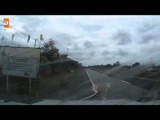 Tayland'da inanılmaz kurtuluş