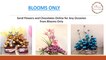 Send Flowers and Chocolates Online for Any Occasion to Pune - Blooms Only