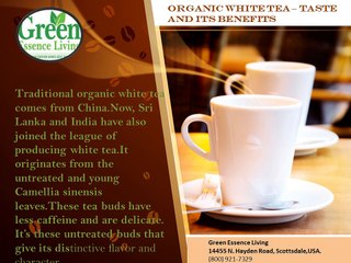 Organic White Tea – Taste and its Benefits