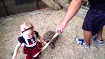 Cette tortue a décider de dévorer cette fillette... Ahaha trop mignon