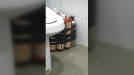 "개성공단에 전기 공급해라" 폭발물 협박 40대 검거 / YTN