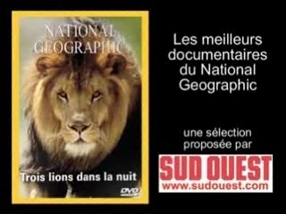 DVD National Geographic Sud Ouest - les trois lions