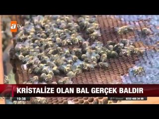 Sahte bal nasıl anlaşılır? - 01.05.2015 - atv