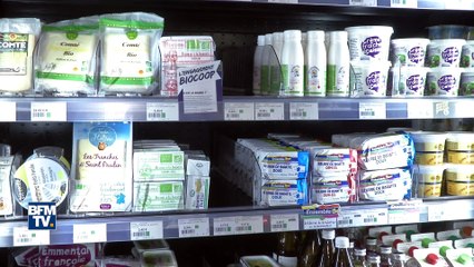 Face à son succès, le lait bio connaît une pénurie
