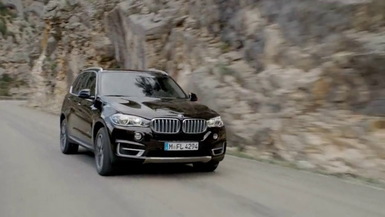BMW X 5