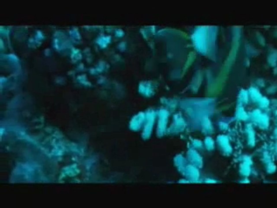Les Animaux Amoureux - Teaser 1