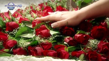 IVANA - TI I TOY _ Ивана - Ти и той,