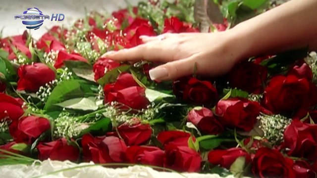 IVANA - TI I TOY _ Ивана - Ти и той,