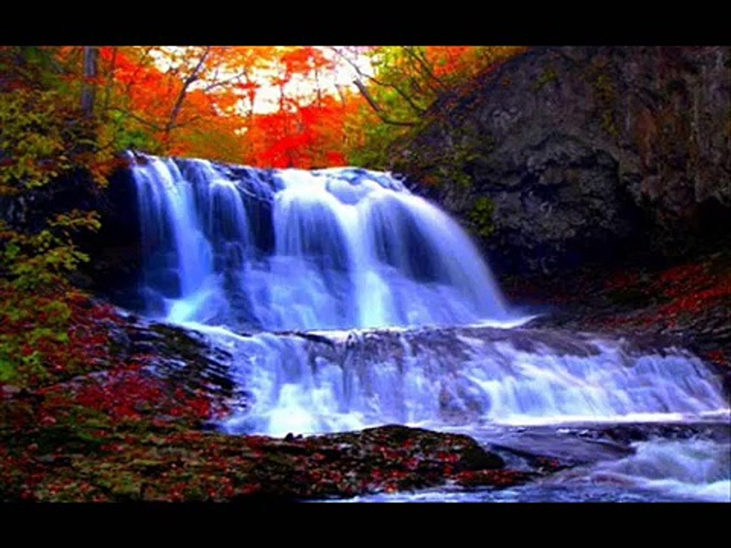 ⁣Tropical Rainforest Birds Singing Songs Birds Chirping Waterfall Sound Effects