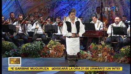 Florin Mihalache - Drag mi-e toamna la cules de vii - live - Tezaur Folcloric