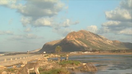 أرخبيل سقطرى اليمني