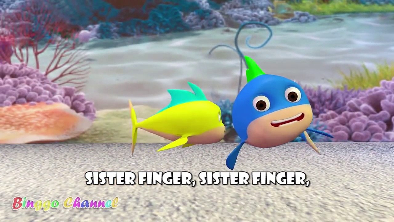 The Best Collection Of Finger Family Songs For 1 Million More View | From Binggo Channel