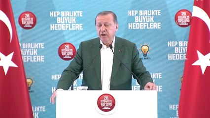 Cumhurbaşkanı Erdoğan: "Şu Anda Güneyimizdeki Bu Gelişmeleri Kontrol Altında Tutmak Zorundayız"