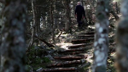 ALEXIS KARPOUZOS COMMUNITY: THE PATH OF WISDOM