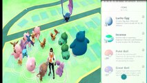 Pokemon GO RARE SPAWNS Using Incense Trick   30 SPAWNS PER USE