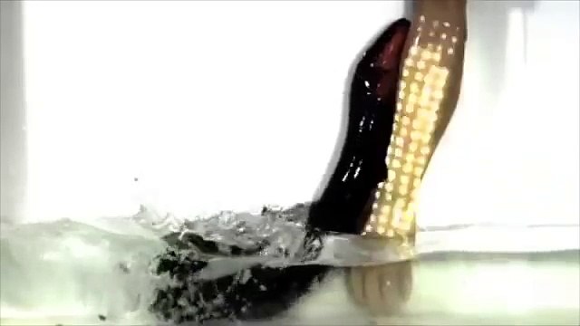 Những con vật da trơn mang danh Thủy quái nước ngọt sẵn sàng cắn đứt... của quý đàn ông