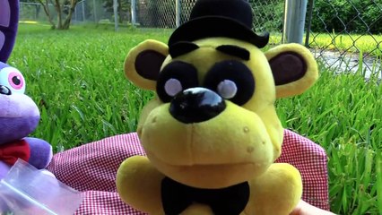 FNAF plush Episode 14 - Foxys Girlfriend