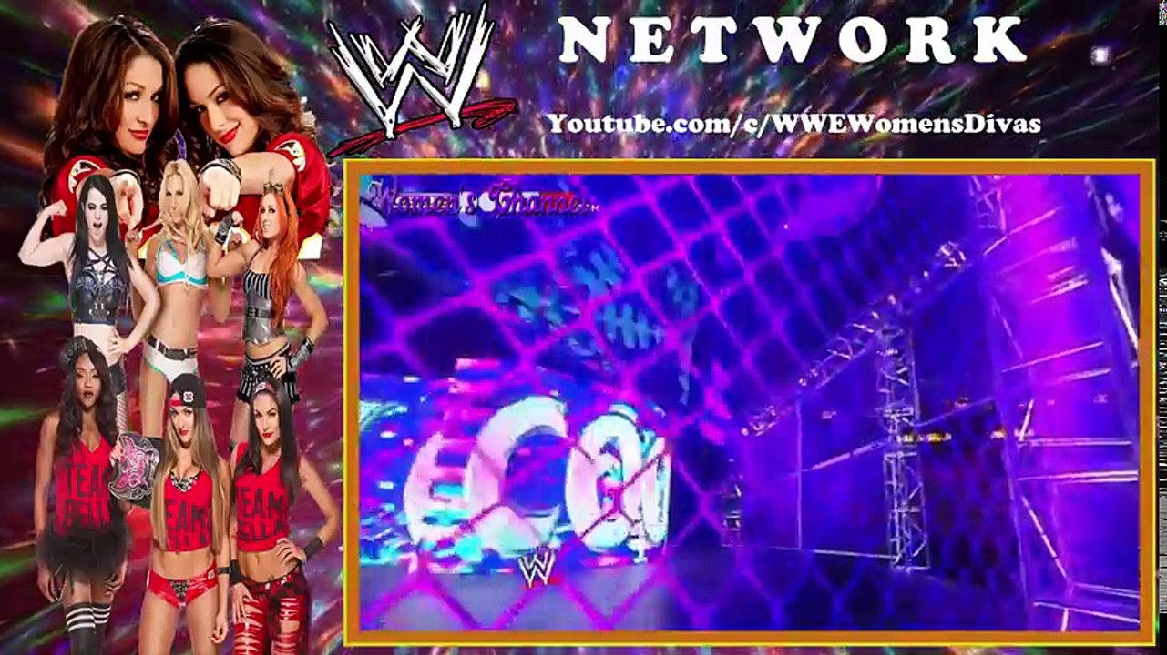 Hell.In A Cell. 2010 Michelle-McCool c vs Natalya Diva's Championship MatchNEW