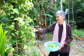 Bóng Dáng Mẹ Hiền - Hà Thanh Phong - Karaoke By GGM