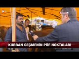 Kurban seçmenin püf noktaları - atv Ana Haber