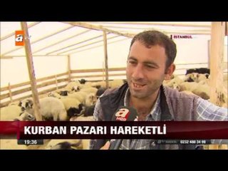 Kurban pazarı hareketli - 12.09.2015 - atv