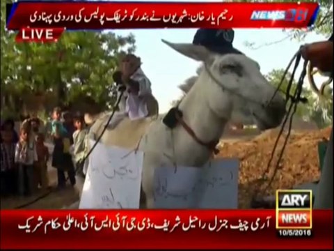 Monkey Donkey Protest in Rahim Yar Khan By ARY NEWS RAHIM YAR KHAN