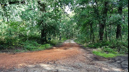 Le tour de Pissos par les pistes cyclables de Camelebrey à Camelebrey