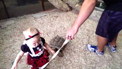 La pauvre : cette fillette se fait attaquer par une tortue