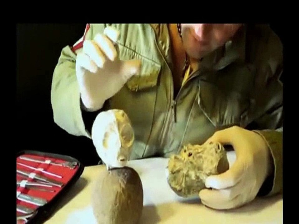 Les Etres mystérieux de Nasca - Cerveaux- têtes et pierres - N°6b - Spécimens