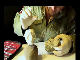 Les Etres mystérieux de Nasca - Cerveaux- têtes et pierres - N°6b - Spécimens