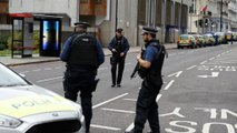 الشرطة البريطانية تعتقل شخصا وسط لندن قرب المتحف الوطني بعد حادثة دهس أصيب فيها عدد من الأشخاص