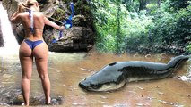 Amazing Girl Uses PVC Pipe Compound To Shoot Fish  - Khmer Fishing At Siem Reap Cambodia (1)