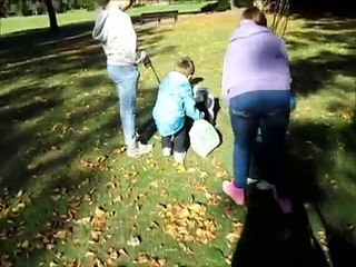 Breastfeeding, Autumn leaves & Walks!