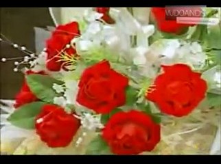 LÀM DÂU XỨ LẠ - karaoke - Thái Châu & Phi Nhung. mp4