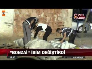 Bonzai isim değiştirdi - atv Ana Haber