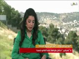 Beautiful Female Arab TV Presenter In Green Satin Blouse , Palestine TV