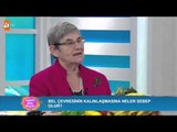 Bel çevresi kalınlaşırsa - Sağlıklı Mutlu Huzurlu 21. Bölüm - atv