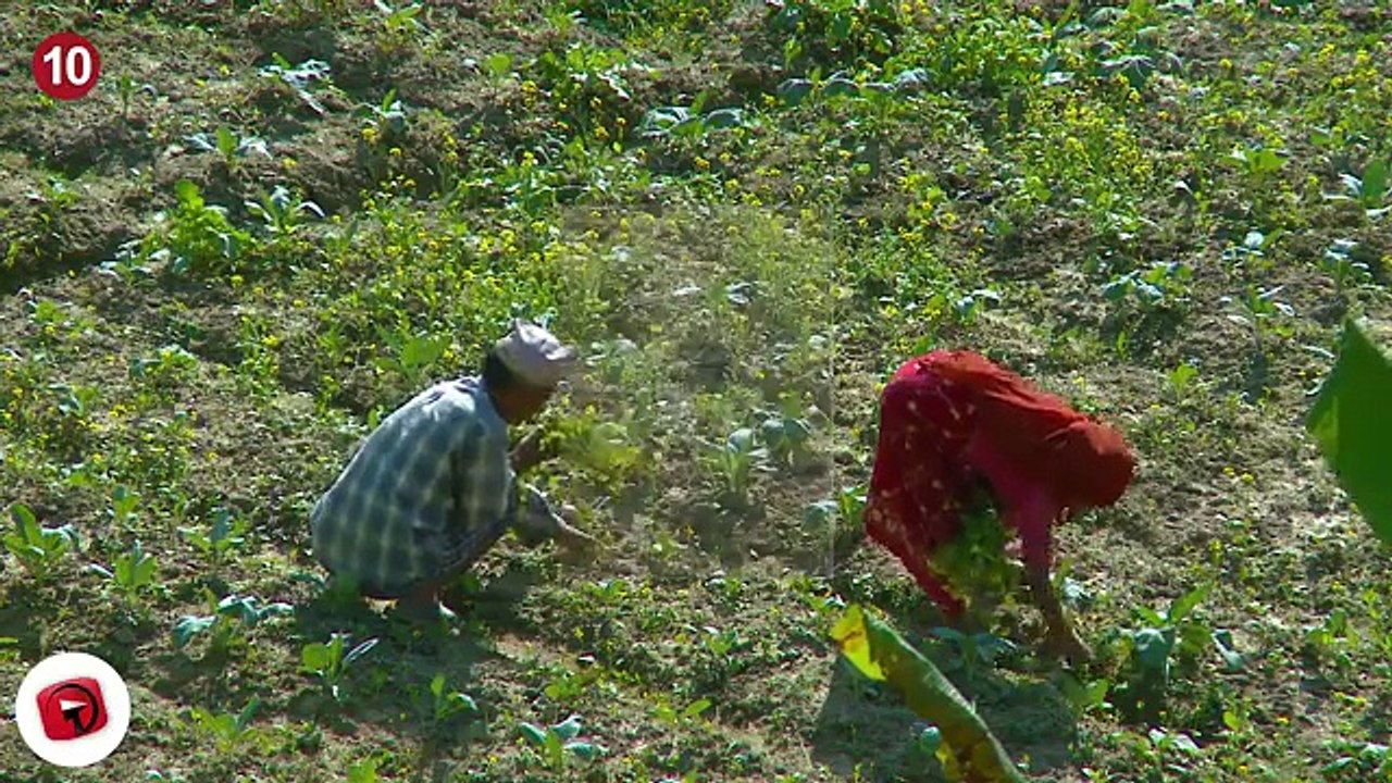 10 Strange Archaeological Discovery Hoaxes