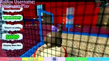 Hamsters In The House - Roblox Animal House Pets - Online Game Lets Play Random Fun Video