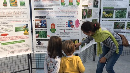 Se débarrasser des insectes sans pesticide