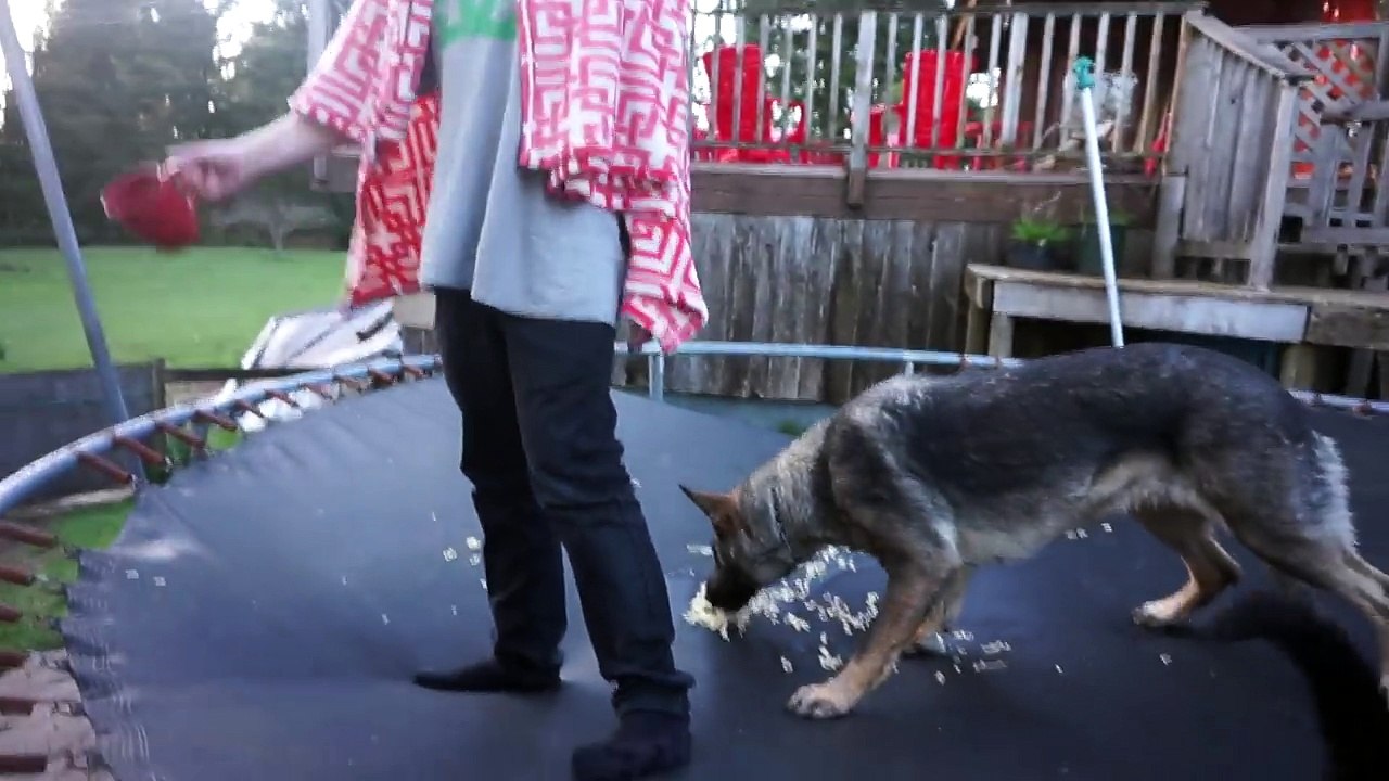 Psycho Kid Rages At Justin Bieber Haters